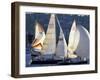 Duck Dodge Sailboat Race, Lake Union, Seattle, Washington, USA-William Sutton-Framed Photographic Print