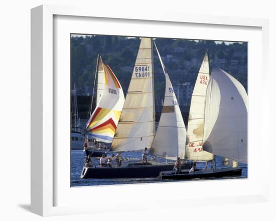 Duck Dodge Sailboat Race, Lake Union, Seattle, Washington, USA-William Sutton-Framed Photographic Print