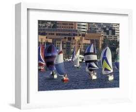 Duck Dodge Sailboat Race, Lake Union, Seattle, Washington, USA-William Sutton-Framed Photographic Print