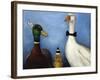 Duck Duck Goose-Leah Saulnier-Framed Giclee Print