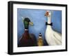 Duck Duck Goose-Leah Saulnier-Framed Giclee Print