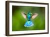 Duck Hummingbird-Pixelmated Animals-Framed Photo
