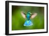 Duck Hummingbird-Pixelmated Animals-Framed Photo