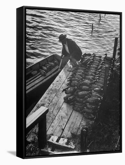 Duck Hunter Frank Freudenberg Loading Decoys for Ducks at Dawn-null-Framed Stretched Canvas