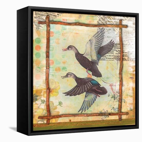 Duck Nature-Walter Robertson-Framed Stretched Canvas