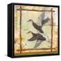 Duck Nature-Walter Robertson-Framed Stretched Canvas