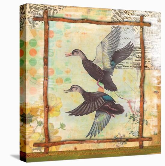 Duck Nature-Walter Robertson-Stretched Canvas