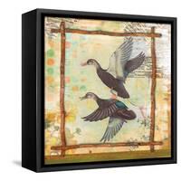 Duck Nature-Walter Robertson-Framed Stretched Canvas