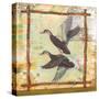 Duck Nature-Walter Robertson-Stretched Canvas