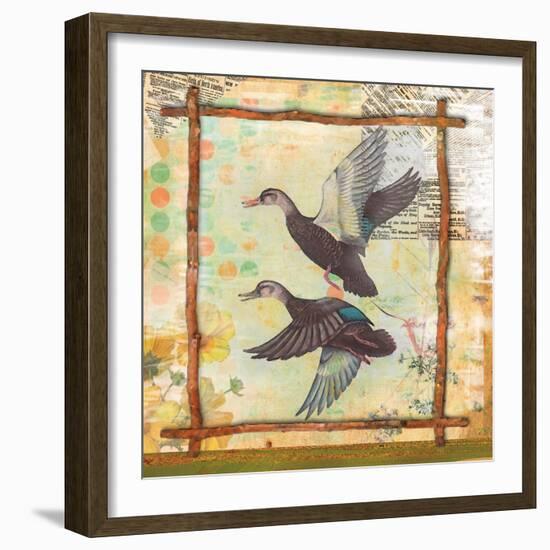 Duck Nature-Walter Robertson-Framed Art Print