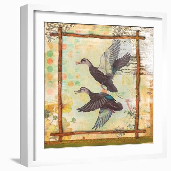 Duck Nature-Walter Robertson-Framed Art Print