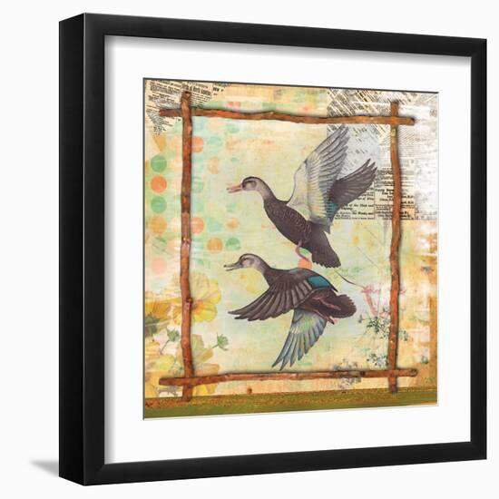 Duck Nature-Walter Robertson-Framed Art Print