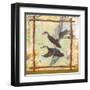 Duck Nature-Walter Robertson-Framed Art Print