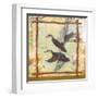 Duck Nature-Walter Robertson-Framed Art Print