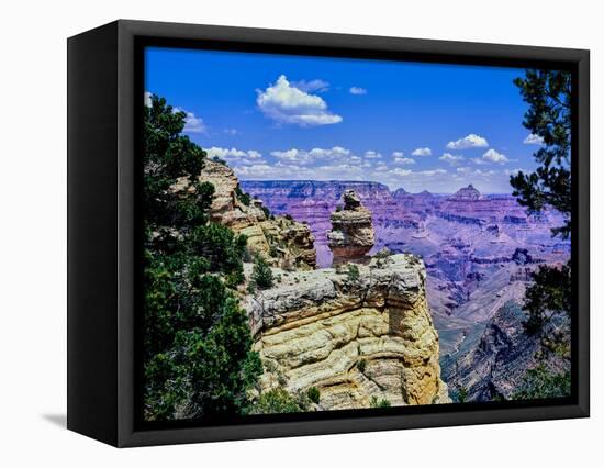 Duck-on-a-rock, East Rim Drive, South Rom, Grand Canyon National Park, Arizona, USA-null-Framed Stretched Canvas