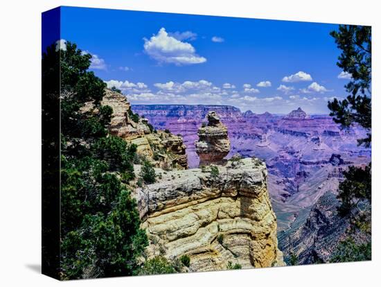 Duck-on-a-rock, East Rim Drive, South Rom, Grand Canyon National Park, Arizona, USA-null-Stretched Canvas
