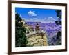 Duck-on-a-rock, East Rim Drive, South Rom, Grand Canyon National Park, Arizona, USA-null-Framed Photographic Print