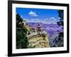 Duck-on-a-rock, East Rim Drive, South Rom, Grand Canyon National Park, Arizona, USA-null-Framed Photographic Print