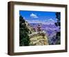 Duck-on-a-rock, East Rim Drive, South Rom, Grand Canyon National Park, Arizona, USA-null-Framed Photographic Print