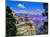 Duck-on-a-rock, East Rim Drive, South Rom, Grand Canyon National Park, Arizona, USA-null-Mounted Photographic Print