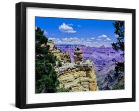 Duck-on-a-rock, East Rim Drive, South Rom, Grand Canyon National Park, Arizona, USA-null-Framed Photographic Print