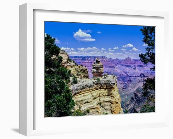 Duck-on-a-rock, East Rim Drive, South Rom, Grand Canyon National Park, Arizona, USA-null-Framed Photographic Print