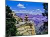 Duck-on-a-rock, East Rim Drive, South Rom, Grand Canyon National Park, Arizona, USA-null-Mounted Photographic Print