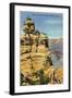 Duck on the Rock, Grand Canyon-null-Framed Art Print