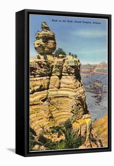 Duck on the Rock, Grand Canyon-null-Framed Stretched Canvas