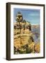 Duck on the Rock, Grand Canyon-null-Framed Art Print