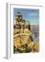 Duck on the Rock, Grand Canyon-null-Framed Art Print