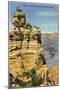 Duck on the Rock, Grand Canyon-null-Mounted Art Print