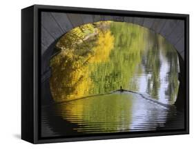 Duck Passes under a Bridge in Lazienki Park in Warsaw, Poland-null-Framed Stretched Canvas