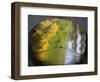 Duck Passes under a Bridge in Lazienki Park in Warsaw, Poland-null-Framed Photographic Print