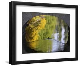 Duck Passes under a Bridge in Lazienki Park in Warsaw, Poland-null-Framed Photographic Print