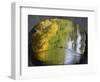 Duck Passes under a Bridge in Lazienki Park in Warsaw, Poland-null-Framed Photographic Print