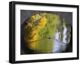 Duck Passes under a Bridge in Lazienki Park in Warsaw, Poland-null-Framed Photographic Print