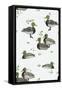 Duck Pattern 1-Si Design Loft-Framed Stretched Canvas