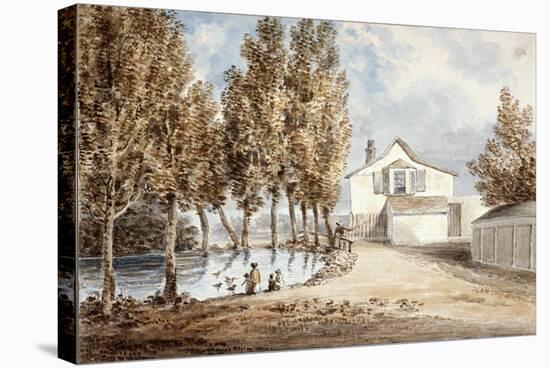 Duck Pond at St Marylebone, C1802-null-Stretched Canvas