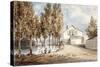 Duck Pond at St Marylebone, C1802-null-Stretched Canvas