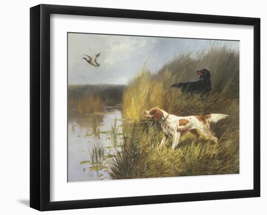 Duck Rising-Eugene Petit-Framed Giclee Print