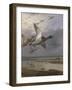 Duck Rising-Archibald Thorburn-Framed Giclee Print