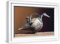 White Frame