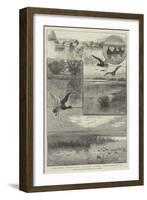 Duck-Shooting at Long Point Island, on Lake Erie-Charles Whymper-Framed Giclee Print