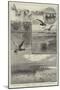 Duck-Shooting at Long Point Island, on Lake Erie-Charles Whymper-Mounted Giclee Print