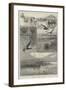 Duck-Shooting at Long Point Island, on Lake Erie-Charles Whymper-Framed Giclee Print