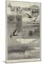 Duck-Shooting at Long Point Island, on Lake Erie-Charles Whymper-Mounted Giclee Print