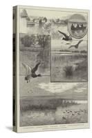 Duck-Shooting at Long Point Island, on Lake Erie-Charles Whymper-Stretched Canvas