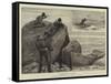 Duck-Shooting in Nova Scotia-John Charles Dollman-Framed Stretched Canvas