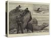 Duck-Shooting in Nova Scotia-John Charles Dollman-Stretched Canvas